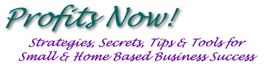 Profits Now: Strategies, Secrets, Tips & Tools for Small & Home Based Business Success